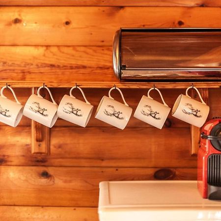 3 Bedroom Log Cabin In Snowdonia Nr Mtb Trails Tanygrisiau المظهر الخارجي الصورة