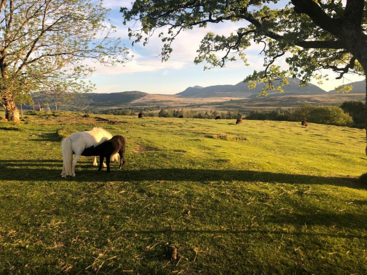 3 Bedroom Log Cabin In Snowdonia Nr Mtb Trails Tanygrisiau المظهر الخارجي الصورة