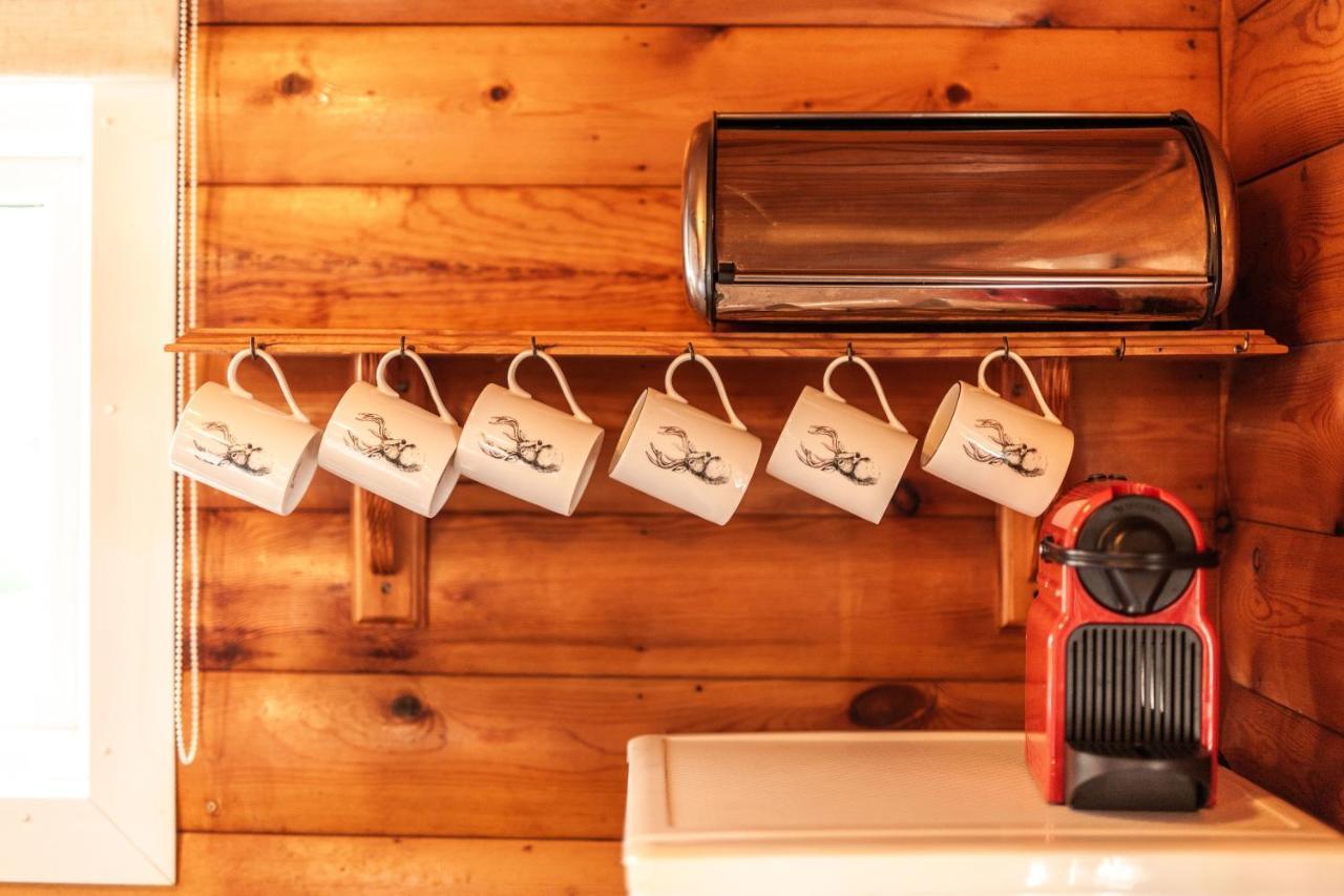 3 Bedroom Log Cabin In Snowdonia Nr Mtb Trails Tanygrisiau المظهر الخارجي الصورة