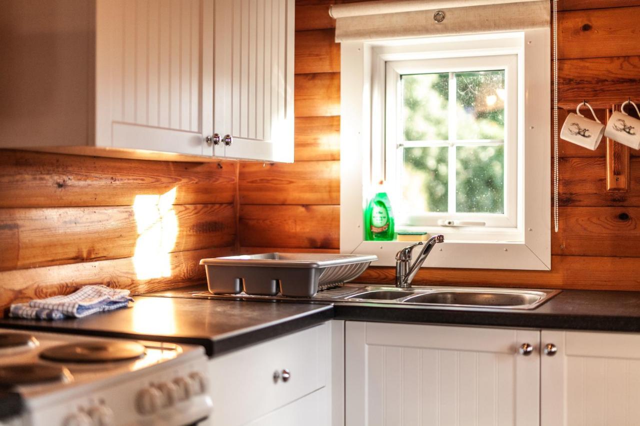 3 Bedroom Log Cabin In Snowdonia Nr Mtb Trails Tanygrisiau المظهر الخارجي الصورة