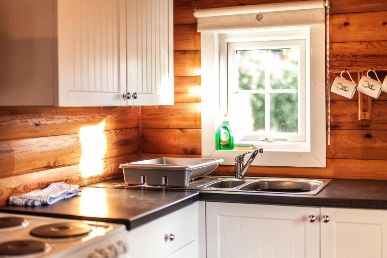 3 Bedroom Log Cabin In Snowdonia Nr Mtb Trails Tanygrisiau المظهر الخارجي الصورة